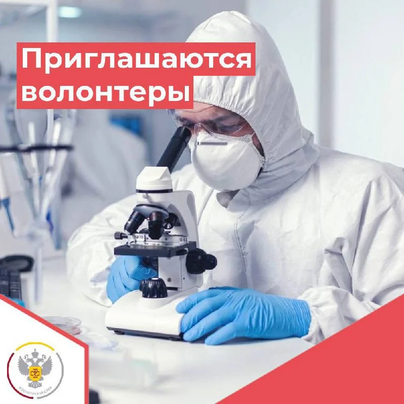Приглашаются волонтеры