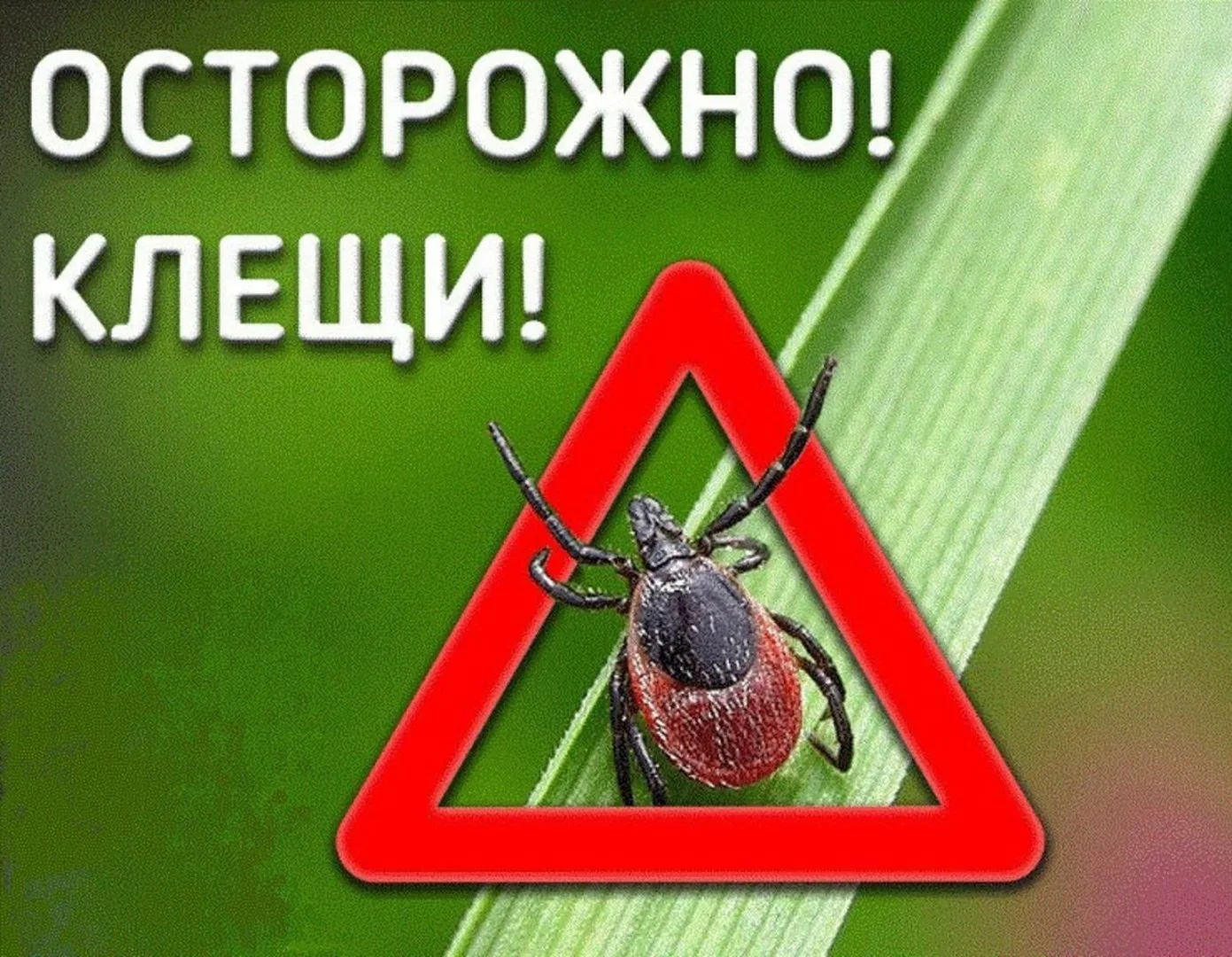 Осторожно, клещ.