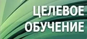 Целевое обучение