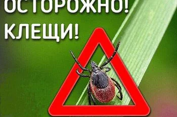 Осторожно, клещ. Осторожно, клещ.